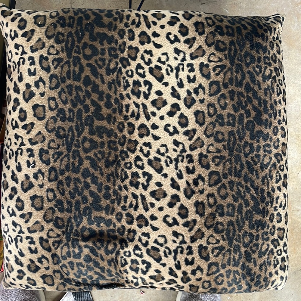 Gently used pillows